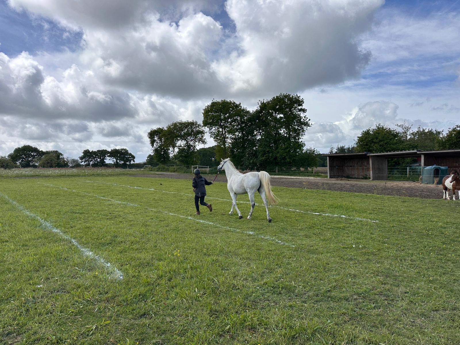 Cavalier et cheval au départ