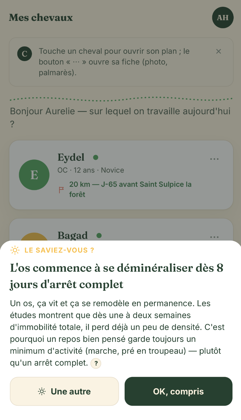 Section Apprendre